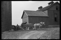 1267_Farmer  horse drawn cart , Tomkins County , New York