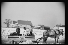 1367_Cottage cheese delivery by dappled horse and sleigh.