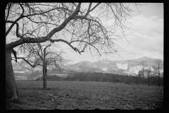 1378_Distant snowy landscape , probably New Jersey