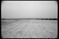 1401_  Open snowy landscape , agricultural land , unknown location.