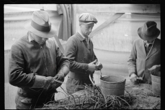 1405_Unknown horticultural operation , unknown location