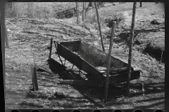 1416_ Trough for pigs , probably Coalins Project, Kentucky