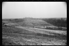 1455_Snowy open landscape, farming land , unknown location