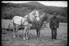 1487_Light ploughing with two horses, probably near Hyde Park, Vermont