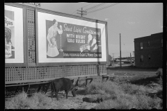 01559_Advertising hoardings probably , Omaha , Nebraska