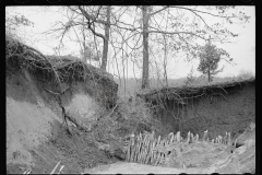 01584_Erosion control on Natchez Trace Project , Lexington Tennessee