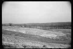 01586_Erosion control Coalins Forest , Western Kentucky