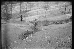 01591_Erosion control Coalins Forest , Western Kentucky