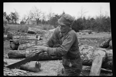 01592_Cutting timber  for further cutting into shingles , Tennessee