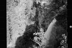 1621_High waterfall in heavily wooded terrain , unknown location