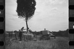 1668_Planting transported tree , Greenbelt , Maryland