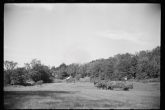 1674_Wagon of hay; hay-making  , Vermont