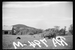 1676_Wagon of hay; hay-making , Vermont