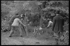 1731_Recording felling of trees for Berwyn project , Maryland