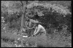 1732_Black-Americans about to cut felled tree with axes