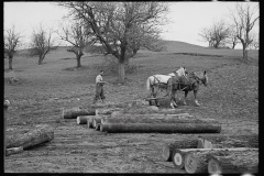 1802_Using horses to haul lumber , possibly Vermont