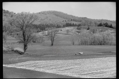 1822_Ploughing alongside open ground , location unknown