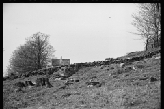 1840_steep aspect with tree stumps , location unknown