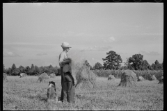 1868_Pride of harvest, hay stooks  farmer with son , unknown location.