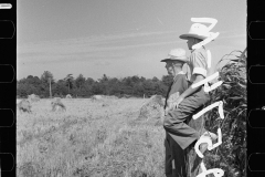 1869_Pride of harvest, spoiled negative , unknown location.