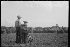 1870_Pride of harvest, hay stooks  farmer with son , unknown location.