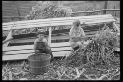 1892_ Children  sitting with possibly harvested corn , unknown farm or location