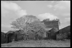 1954_Somewhat overgrown large building unknown location