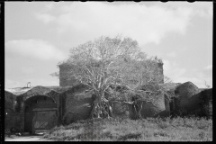 1955_Somewhat overgrown large building unknown location