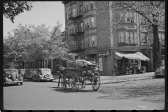 1972_Horse and cart full of lumber passes Unites Food Stores