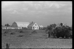 1978_Hay making , field close to homestead with large barn,