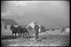 1997_Resourcefully clearing  ground by horse  possibly Wabash Farms