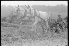 2015_Horse drawn harrow ,  possibly Wabash Farms  Indiana