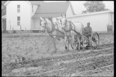 2017_Horse drawn harrow ,  possibly Wabash Farms  Indiana