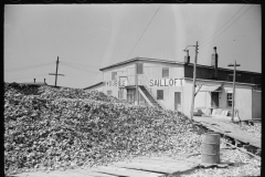 2053_Oyster pile and DuBois Sail loft ,  New Jersey