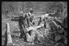 2069_Cutting logs for shingles,Wilson Cedar Forest, near Lebanon, Tennessee