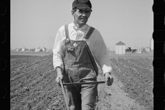 2094_Miner-farmer working his land at the Granger Homesteads