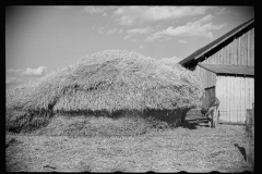 2157_Haystack outside Dairy barn , Chattanooga, Tennessee