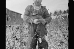 2175_ Sad small boy in  cotton field  with   rock-strewn soil,  Raleigh,  North Carolina