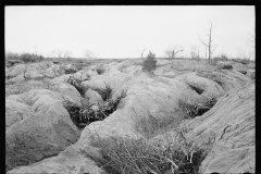 2185_Erosion control on Natchez Trace Project near Lexington, Tennessee