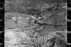 2187_Erosion control  Coalins Forest and Game Reservation,  Western Kentucky