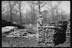 2188_Splitting shingles with froe and maul on Coalins project  farm,  western Kentucky