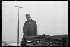 2219_ Chicken in a crate, Westmoreland Homesteads