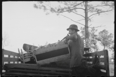 2228_W.R. Hubbard and family 'moving house' to Penderlea Farms, North Carolina