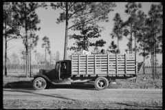 2229_W.R. Hubbard and family 'moving house' to Penderlea Farms, North Carolina