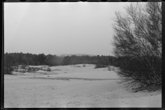 2322_Sand covering grass, Freeport , The Desert of Maine