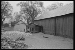 2329_After the flood , damage at farm near North Hatfield, Massachusetts