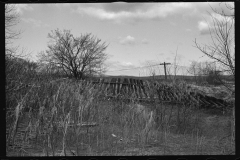 2332_Tobacco fields devastated by the Connecticut River near Northampton, Massachusetts