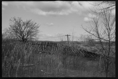 2333_Tobacco fields devastated by the Connecticut River near Northampton, Massachusetts