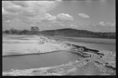 2346_Tobacco lands after the Connecticut River has subsided, Hatfield, Massachusetts