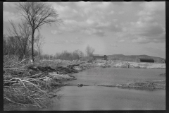 2356_After the Connecticut River had subsided near Hatfield